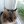 Nekto_1717